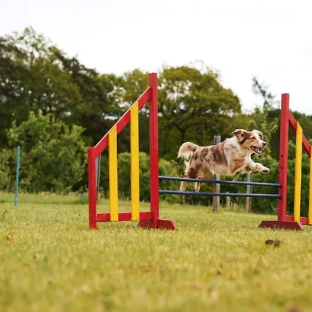 Hof Koehne - Kastanienhaus 度假居 *
