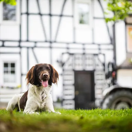 Hof Koehne - Kastanienhaus 度假居