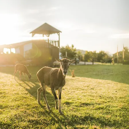 Hof Koehne - Kastanienhaus 施马伦贝格