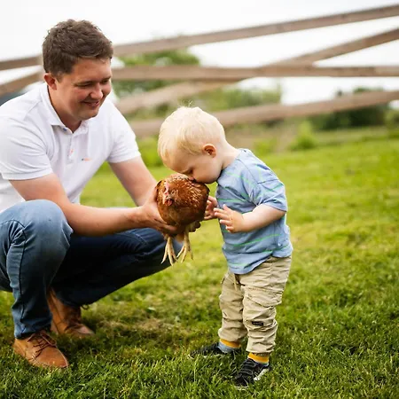 Hof Koehne - Kastanienhaus 度假居 施马伦贝格