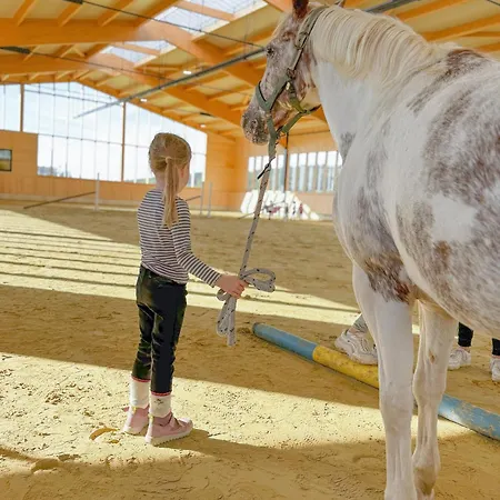 度假居 Hof Koehne - Kastanienhaus