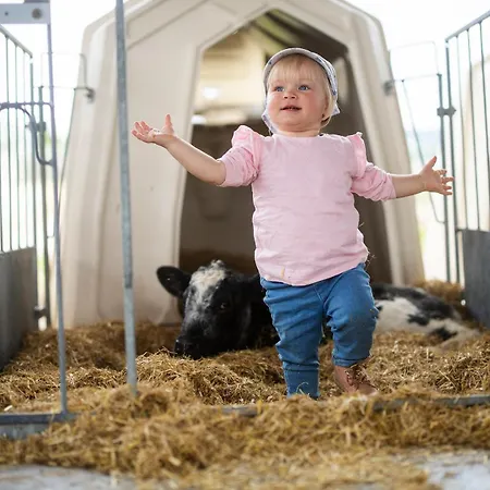 度假居 Hof Koehne - Kastanienhaus