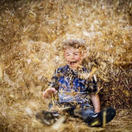 度假居 Hof Koehne - Kastanienhaus