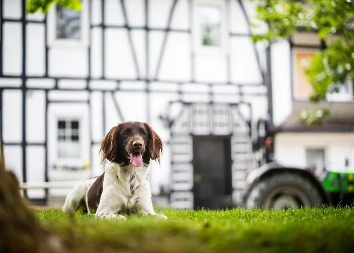 Hof Koehne - Kastanienhaus Holiday home