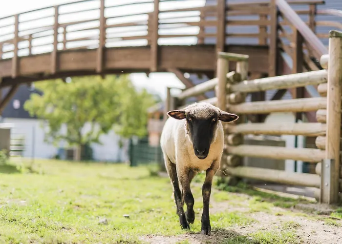 Hof Koehne - Kastanienhaus Holiday home *