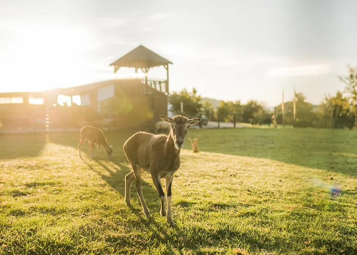 Hof Köhne - Kastanienhaus Schmallenberg