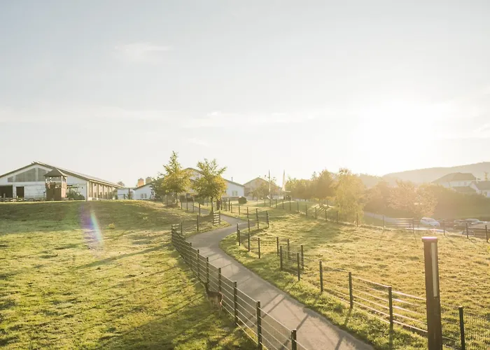 Holiday home Hof Koehne - Kastanienhaus *
