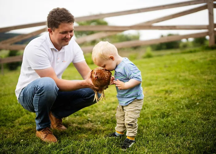 Hof Koehne - Kastanienhaus Holiday home Schmallenberg